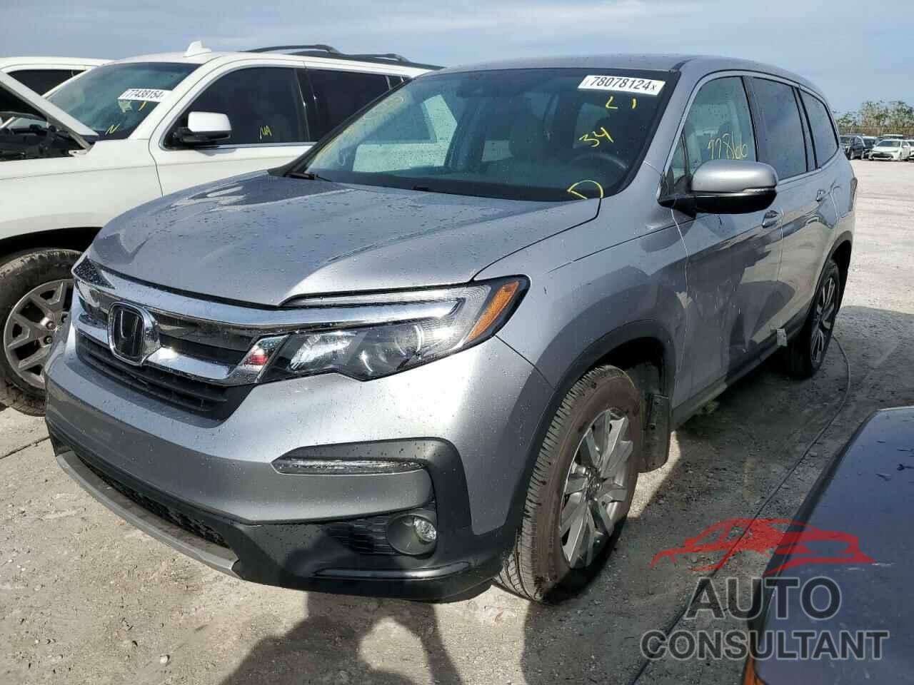 HONDA PILOT 2019 - 5FNYF5H31KB045336