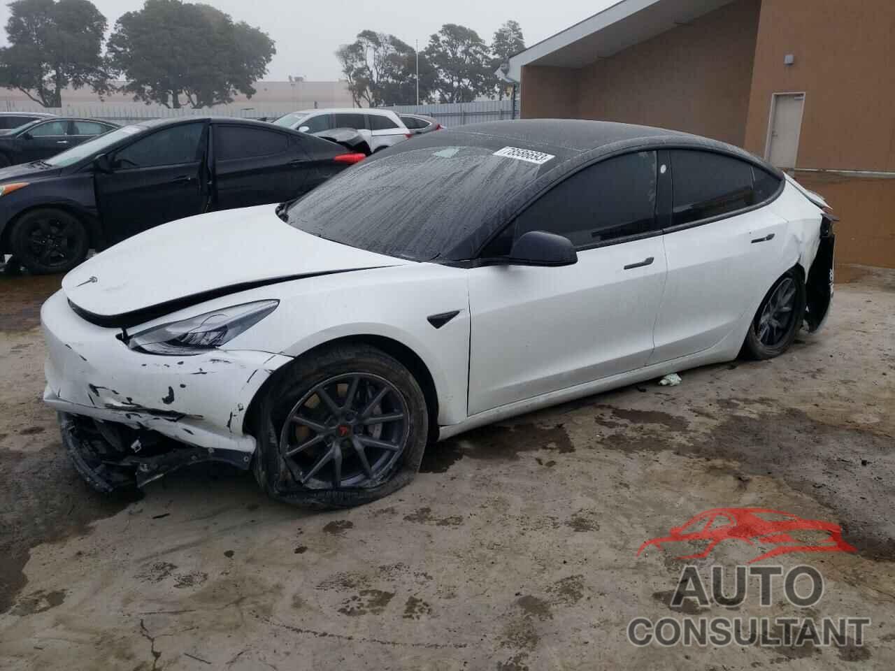 TESLA MODEL 3 2020 - 5YJ3E1EA2LF613426