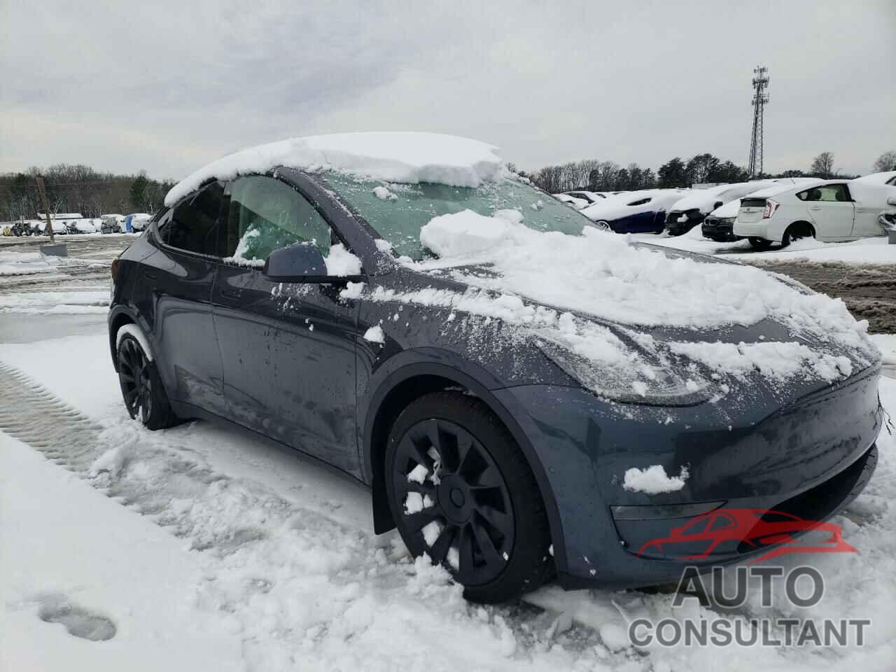 TESLA MODEL Y 2021 - 5YJYGDEE6MF244138