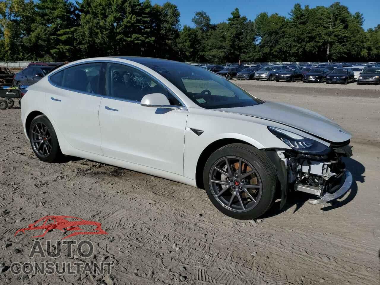 TESLA MODEL 3 2020 - 5YJ3E1EA4LF737021