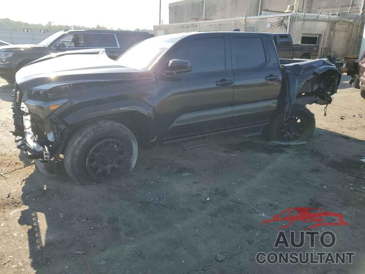 TOYOTA TACOMA 2024 - 3TMLB5JN1RM005958