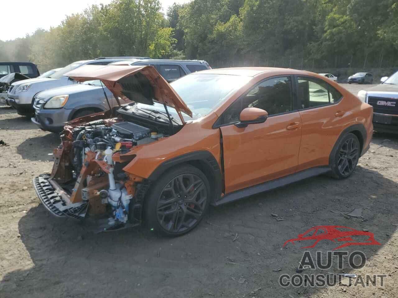 SUBARU WRX TR 2024 - JF1VBAY66R9802565