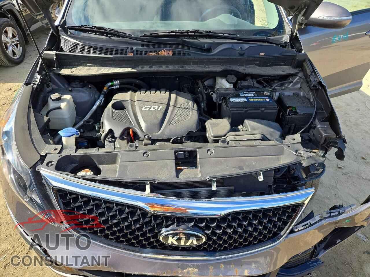 KIA SPORTAGE 2014 - KNDPBCAC4E7643484