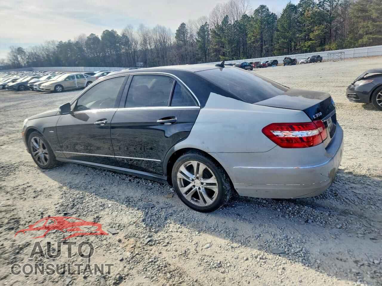 MERCEDES-BENZ E-CLASS 2011 - WDDHF8HBXBA421829