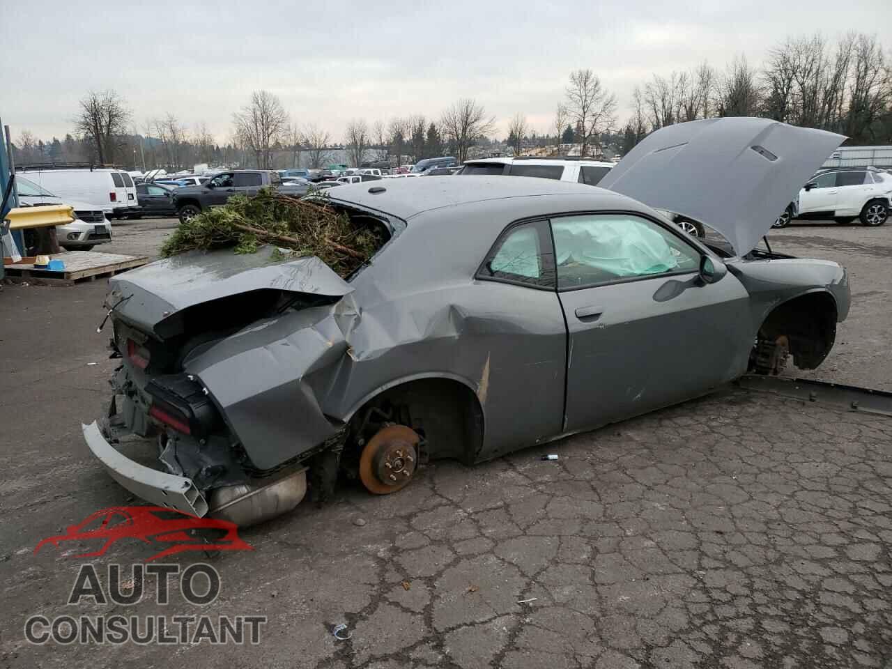 DODGE CHALLENGER 2019 - 2C3CDZAG3KH723555