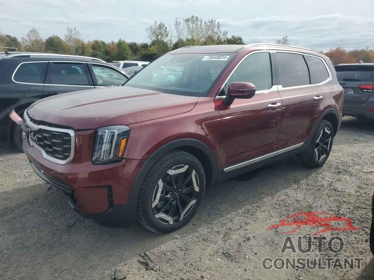 KIA TELLURIDE 2024 - 5XYP6DGC1RG549430