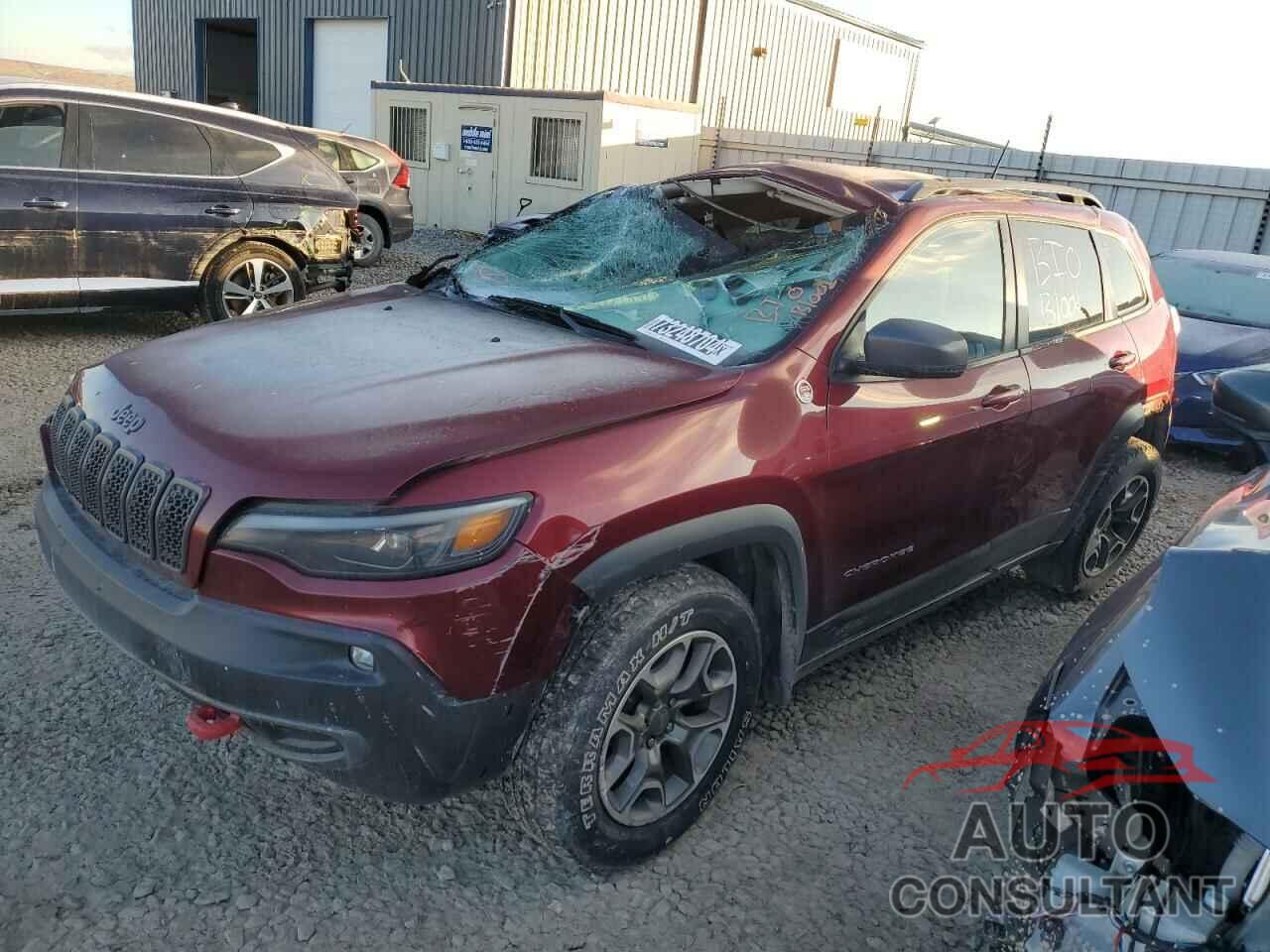 JEEP CHEROKEE 2020 - 1C4PJMBX1LD500971