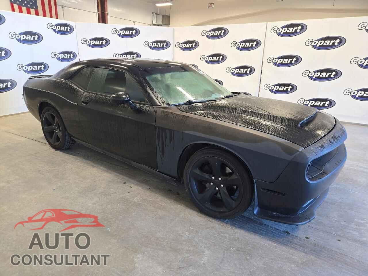 DODGE CHALLENGER 2014 - 2C3CDYAG0EH205160