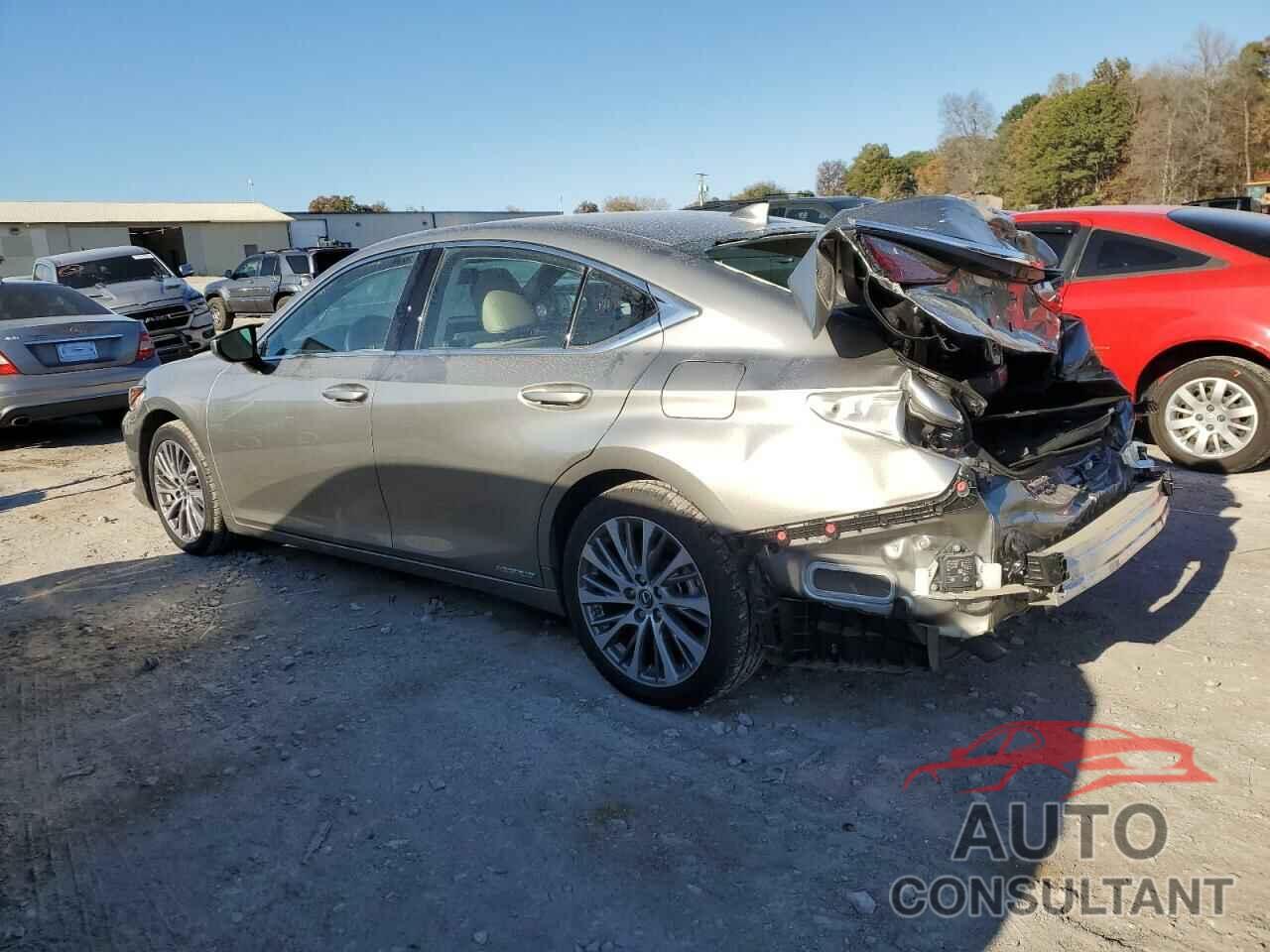 LEXUS ES300 2021 - 58ADA1C16MU011211