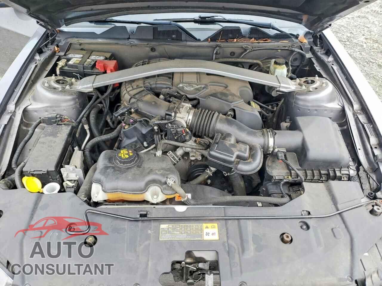 FORD MUSTANG 2013 - 1ZVBP8AM4D5277485