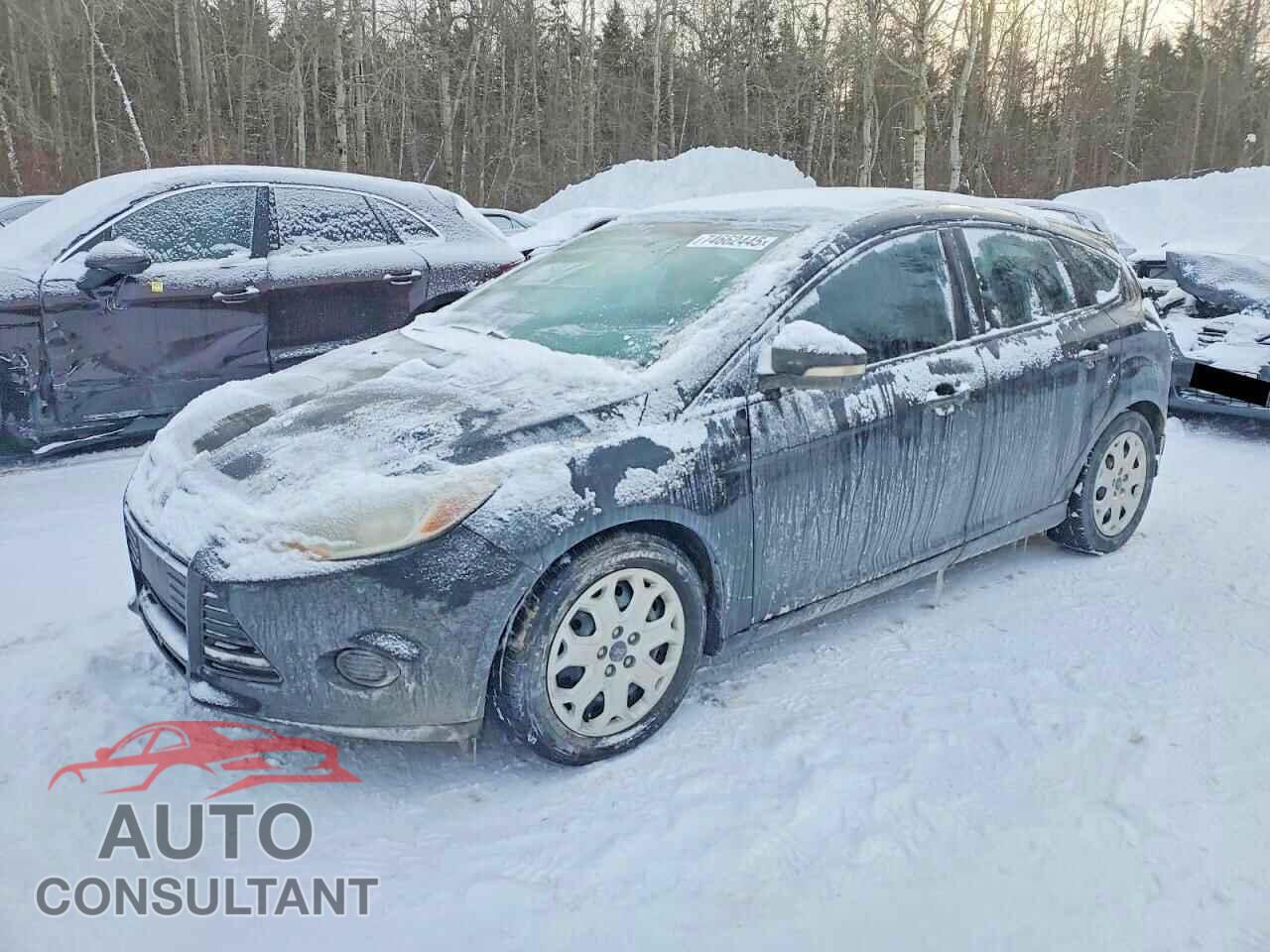 FORD FOCUS 2014 - 1FADP3K23EL384543
