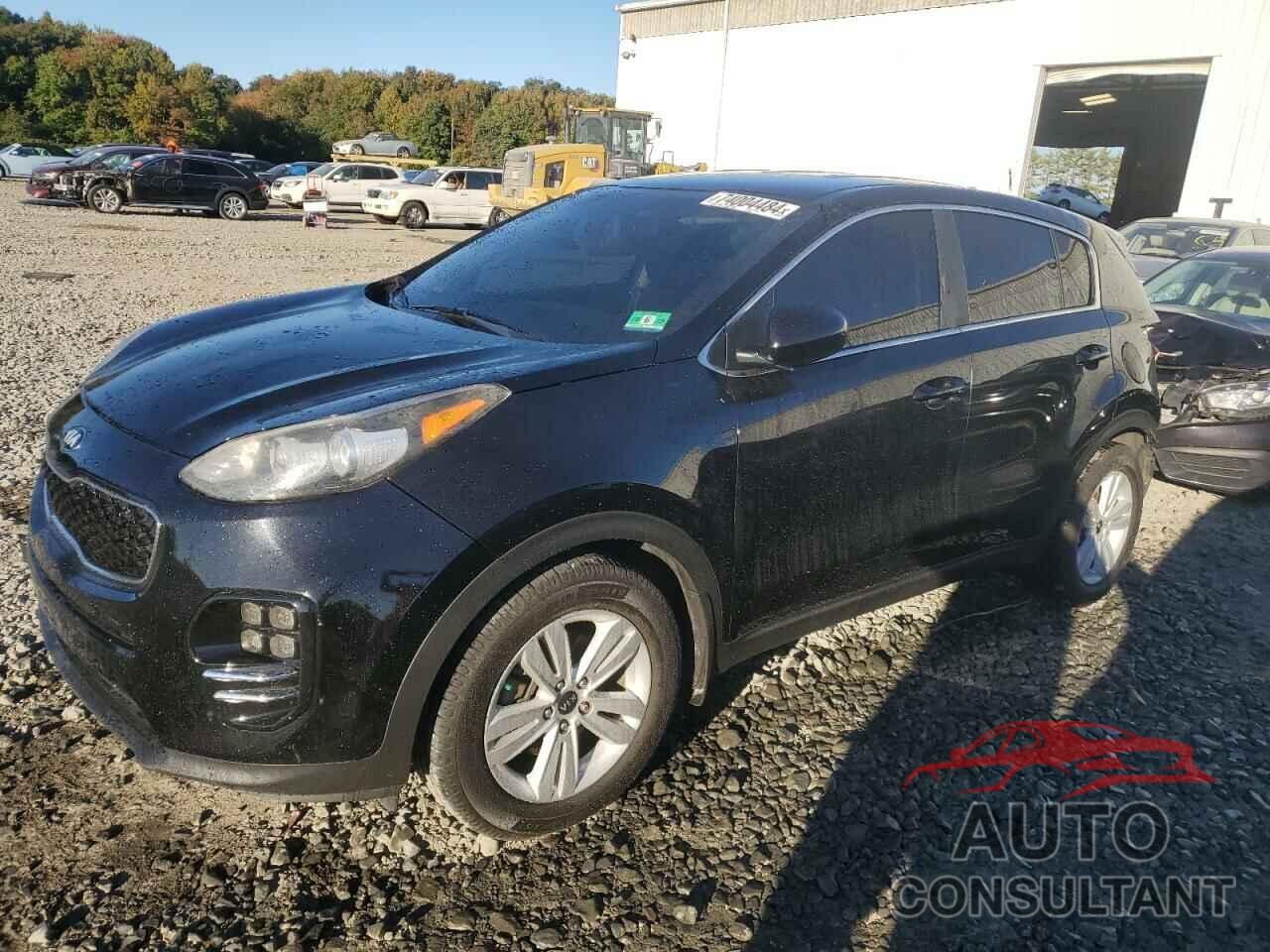 KIA SPORTAGE 2017 - KNDPM3AC3H7136915