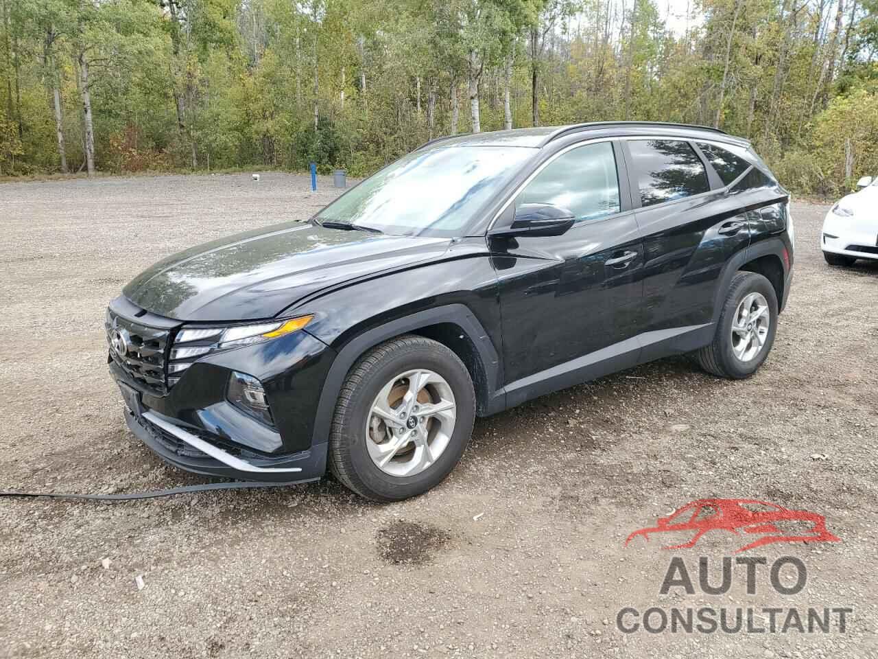 HYUNDAI TUCSON 2022 - KM8JB3AE2NU060366