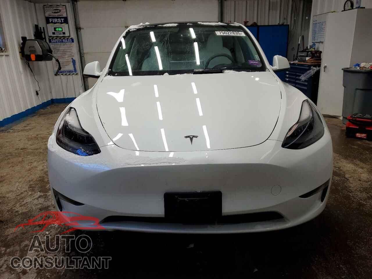 TESLA MODEL Y 2023 - 7SAYGAEE8PF756649