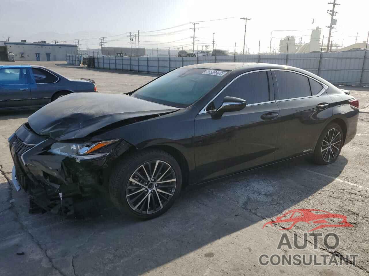 LEXUS ES300 2022 - 58ADA1C1XNU022049