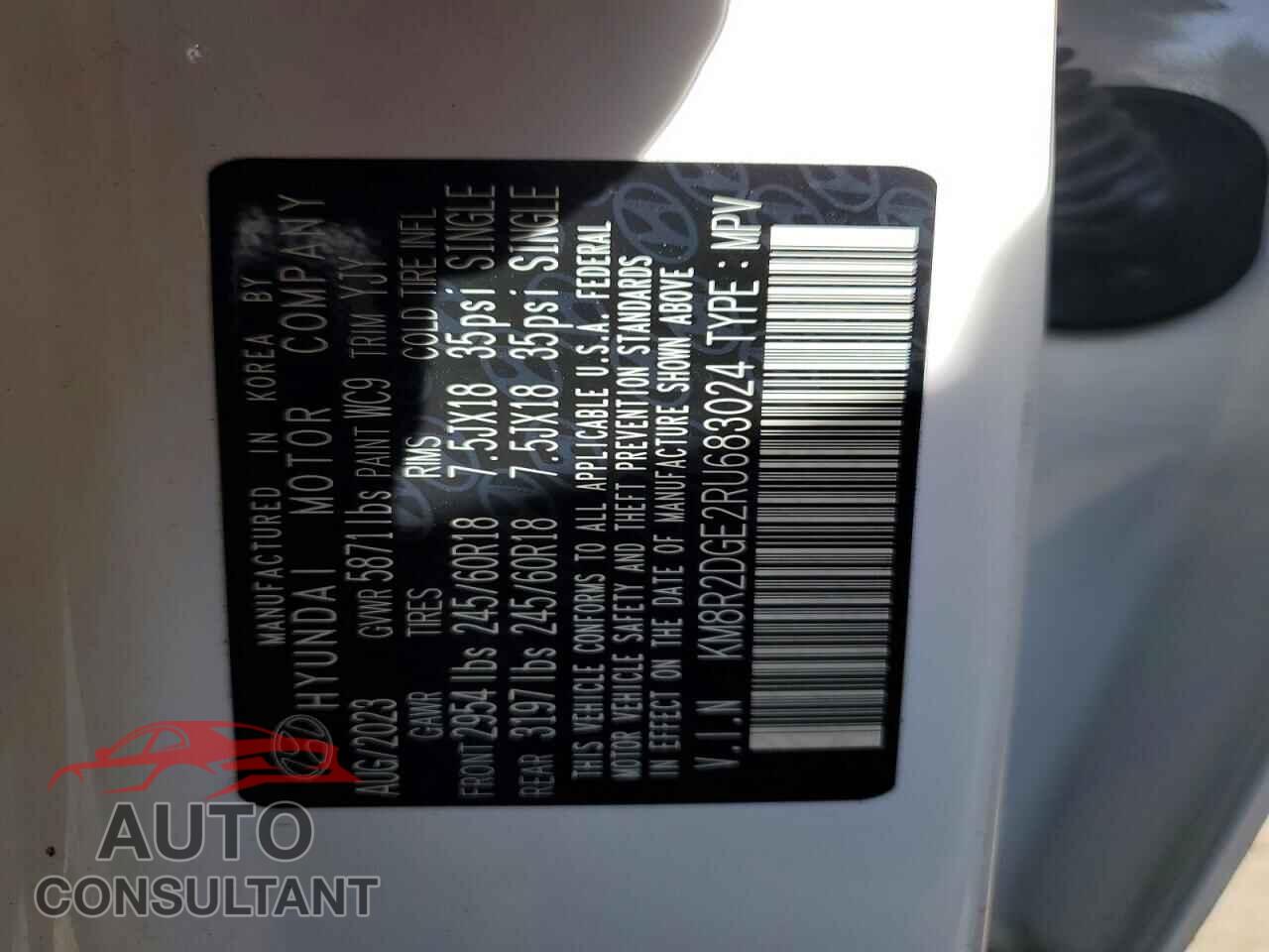 HYUNDAI PALISADE 2024 - KM8R2DGE2RU683024