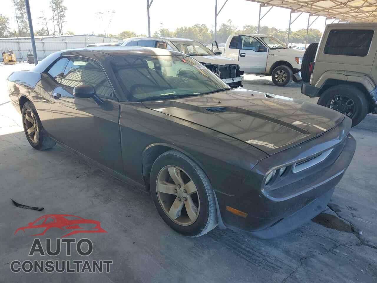 DODGE CHALLENGER 2013 - 2C3CDYAG6DH704379