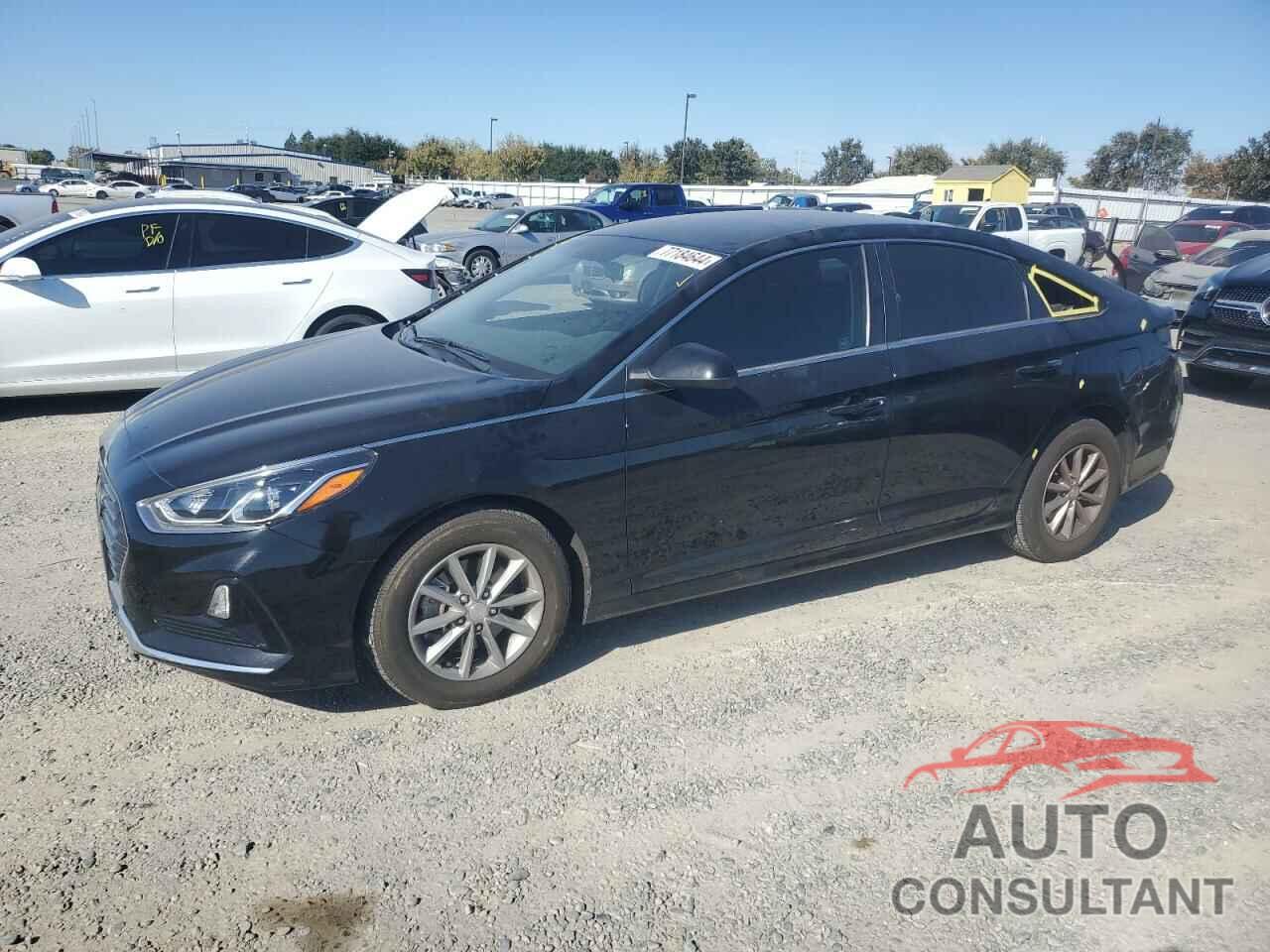 HYUNDAI SONATA 2019 - 5NPE24AF0KH817792