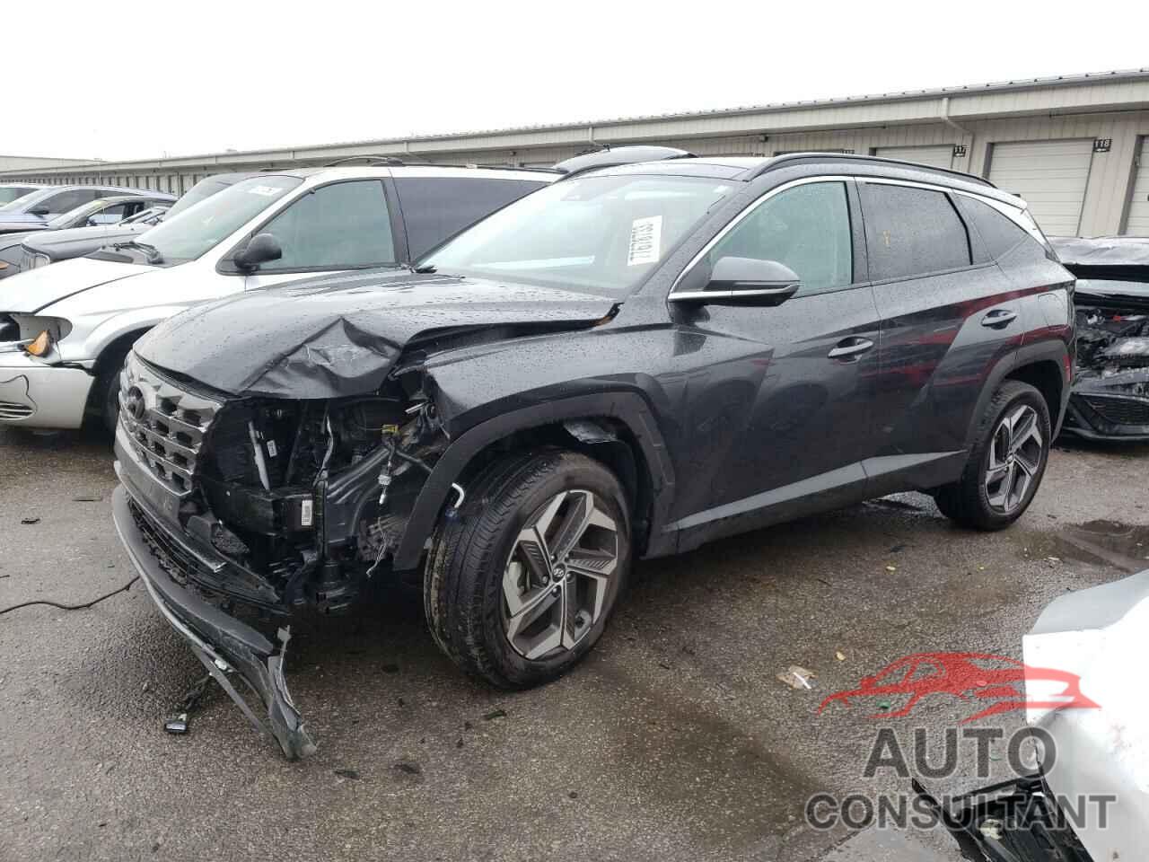 HYUNDAI TUCSON 2023 - 5NMJECAE0PH260295