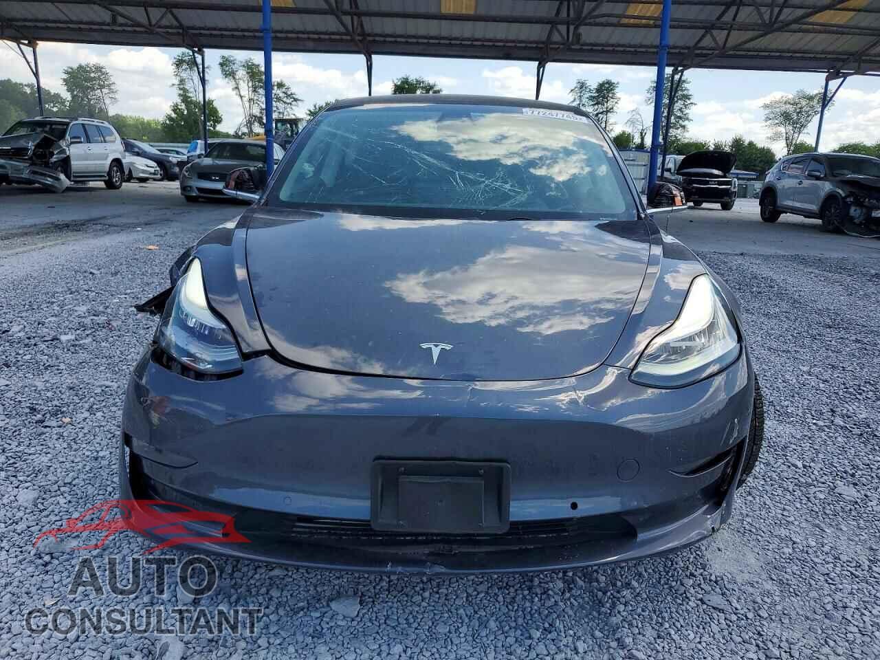 TESLA MODEL 3 2019 - 5YJ3E1EA3KF331245