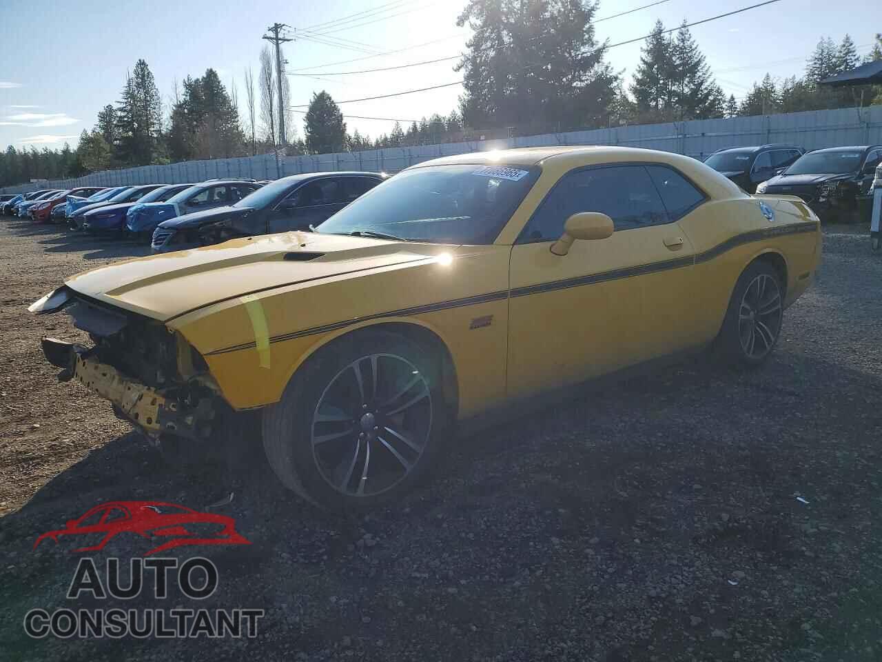 DODGE CHALLENGER 2012 - 2C3CDYCJ8CH293395