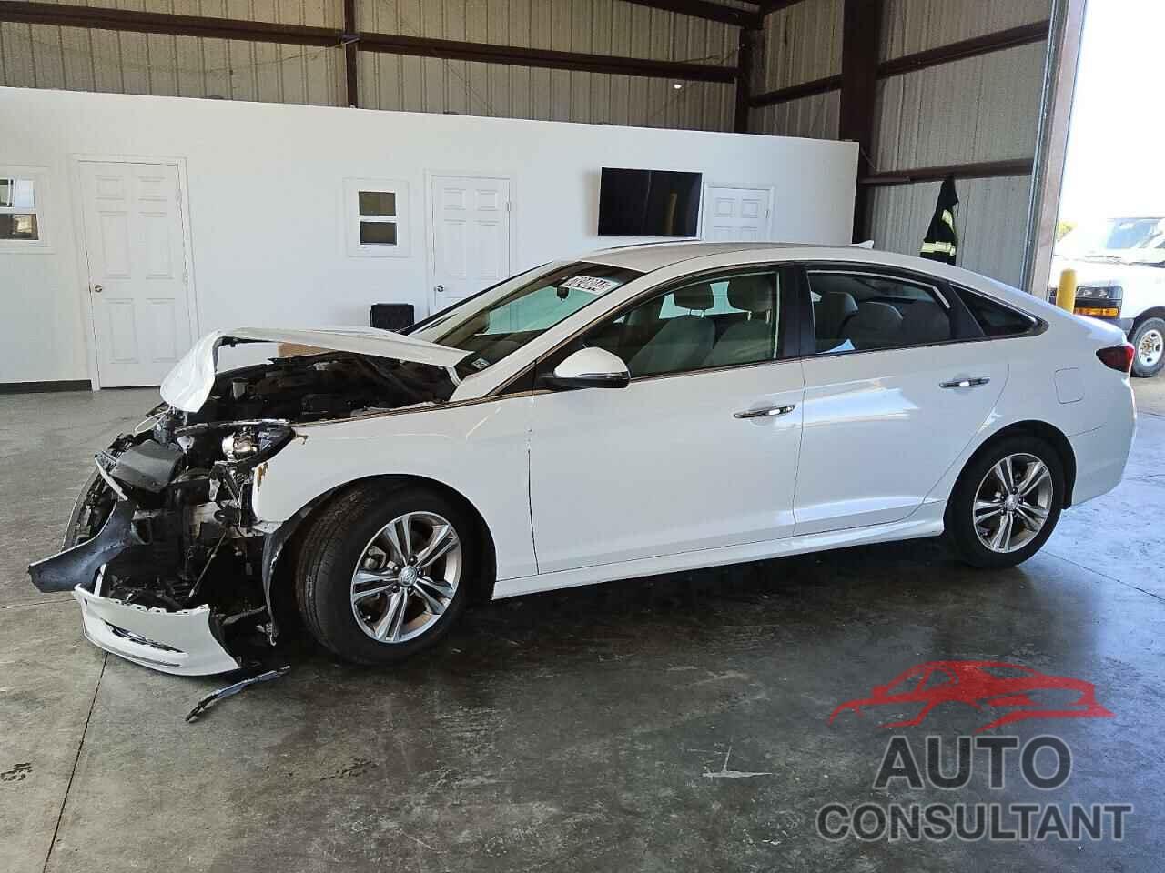 HYUNDAI SONATA 2019 - 5NPE34AF7KH769480