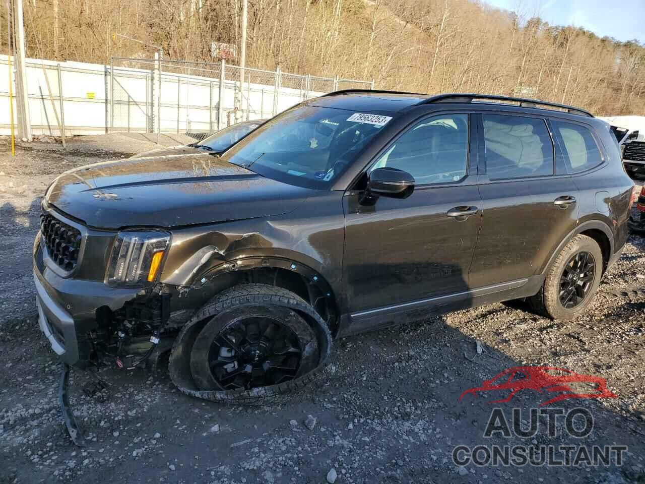 KIA TELLURIDE 2023 - 5XYP5DGCXPG388169