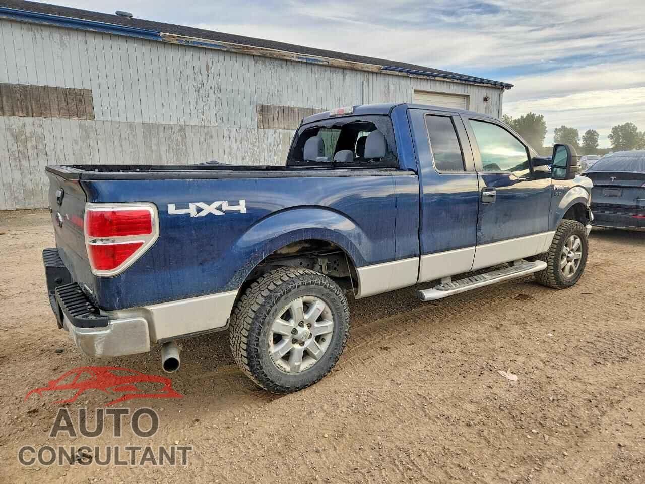 FORD F150 2013 - 1FTFX1EF7DFB97079
