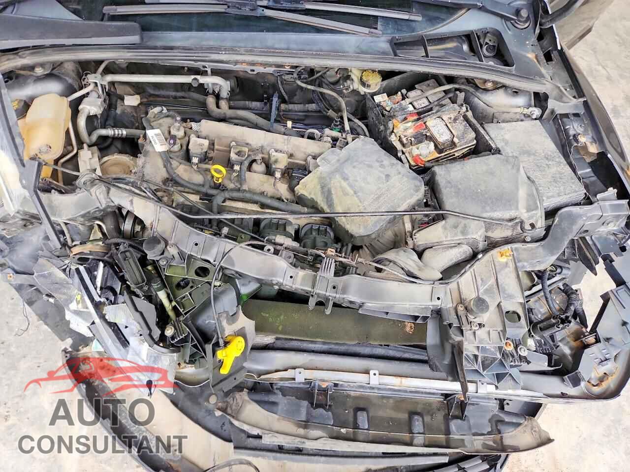 FORD FOCUS 2016 - 1FADP3K22GL347423