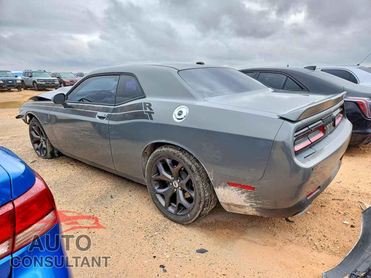 DODGE CHALLENGER 2019 - 2C3CDZBT6KH556961
