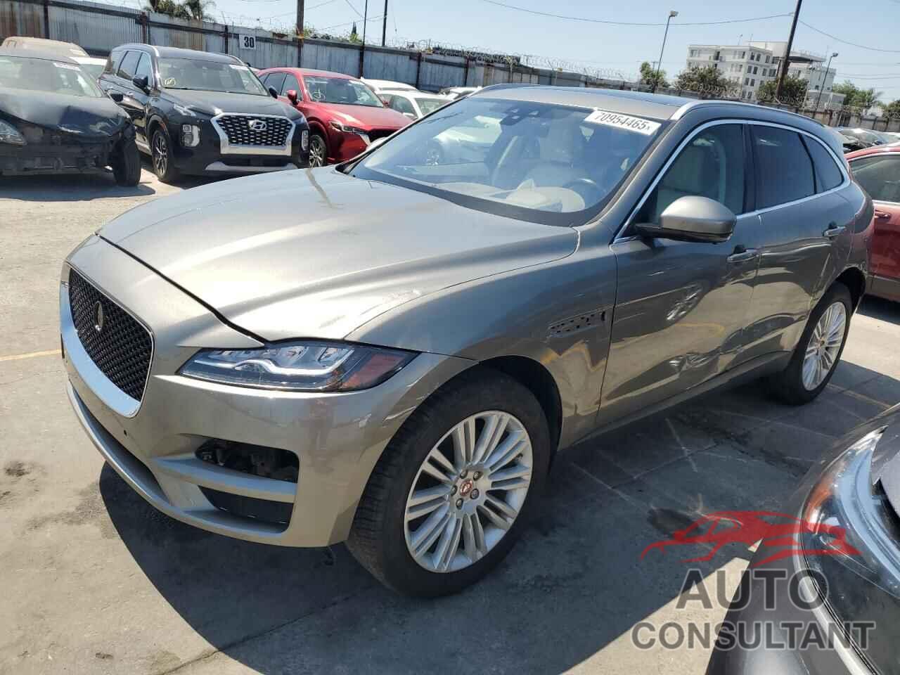 JAGUAR F-PACE 2019 - SADCN2GX0KA616456