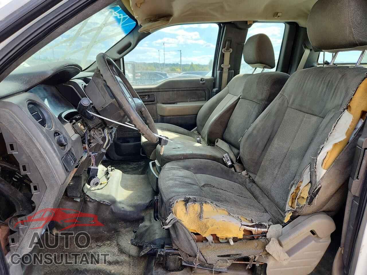 FORD F150 2010 - 1FTFX1EV0AKE01800