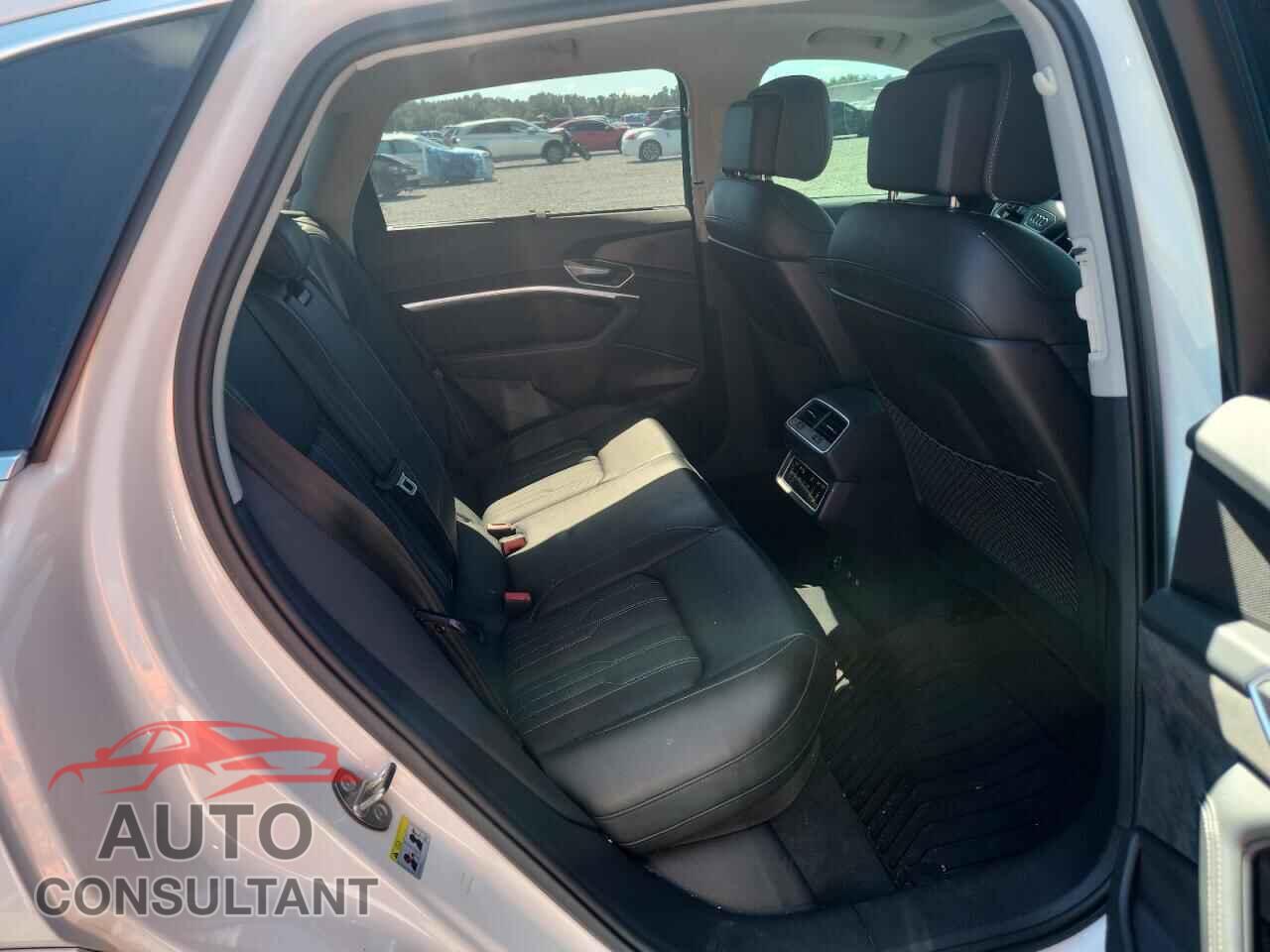 AUDI E-TRON 2019 - WA1VAAGE1KB024979