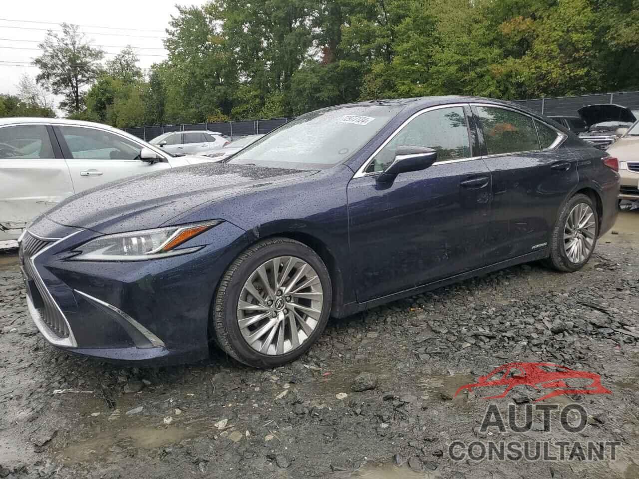 LEXUS ES300 2019 - JTHB21B16K2028986