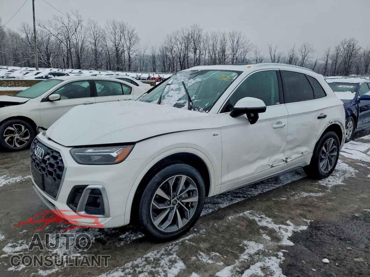 AUDI Q5 2023 - WA1EAAFY2P2013752