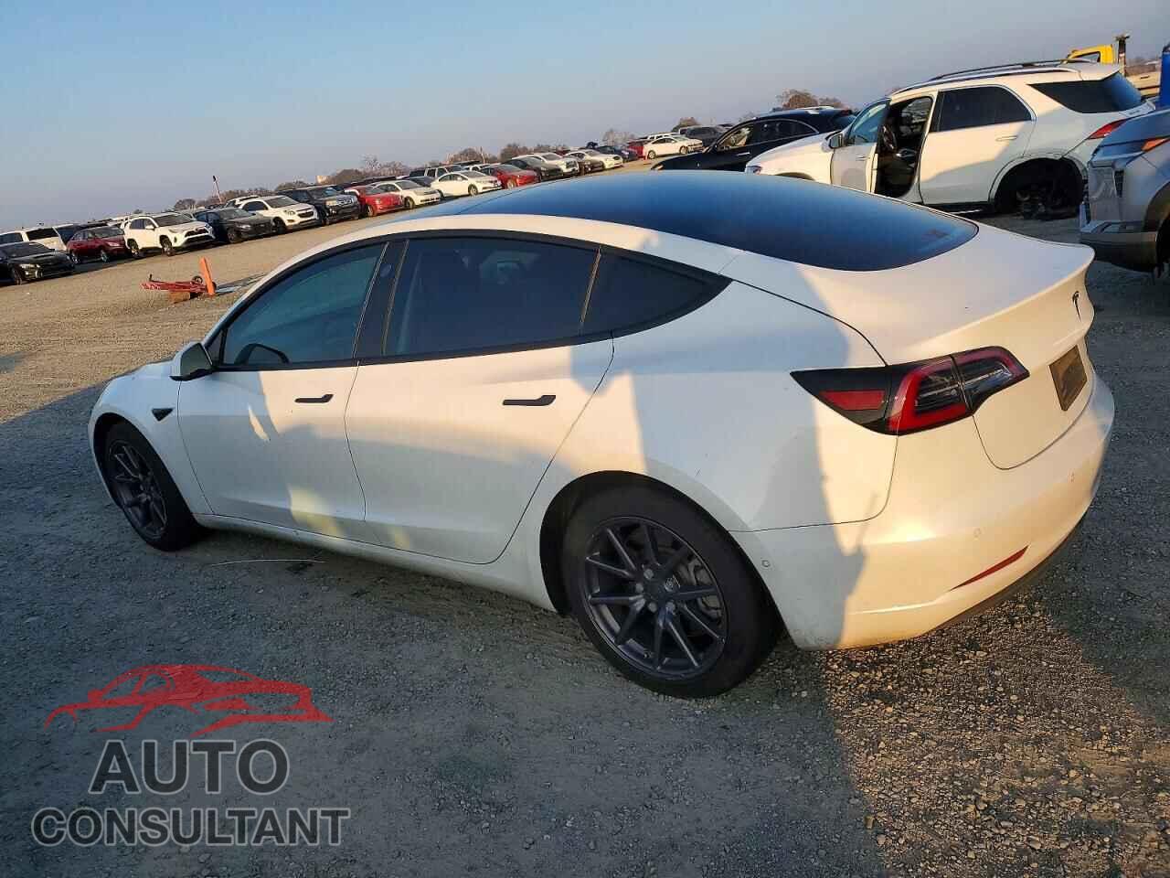 TESLA MODEL 3 2019 - 5YJ3E1EB4KF418323