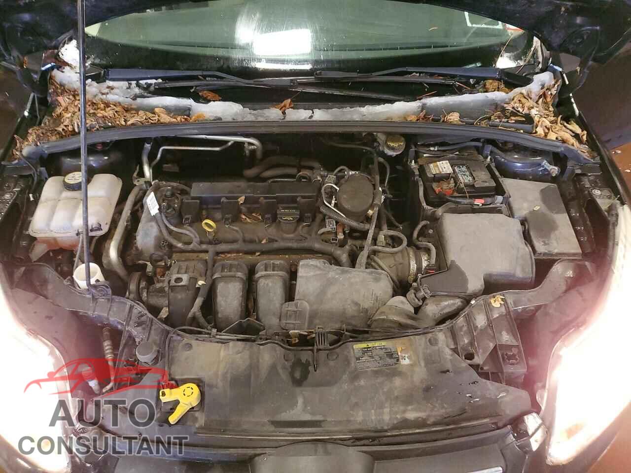 FORD FOCUS 2012 - 1FAHP3F2XCL335347
