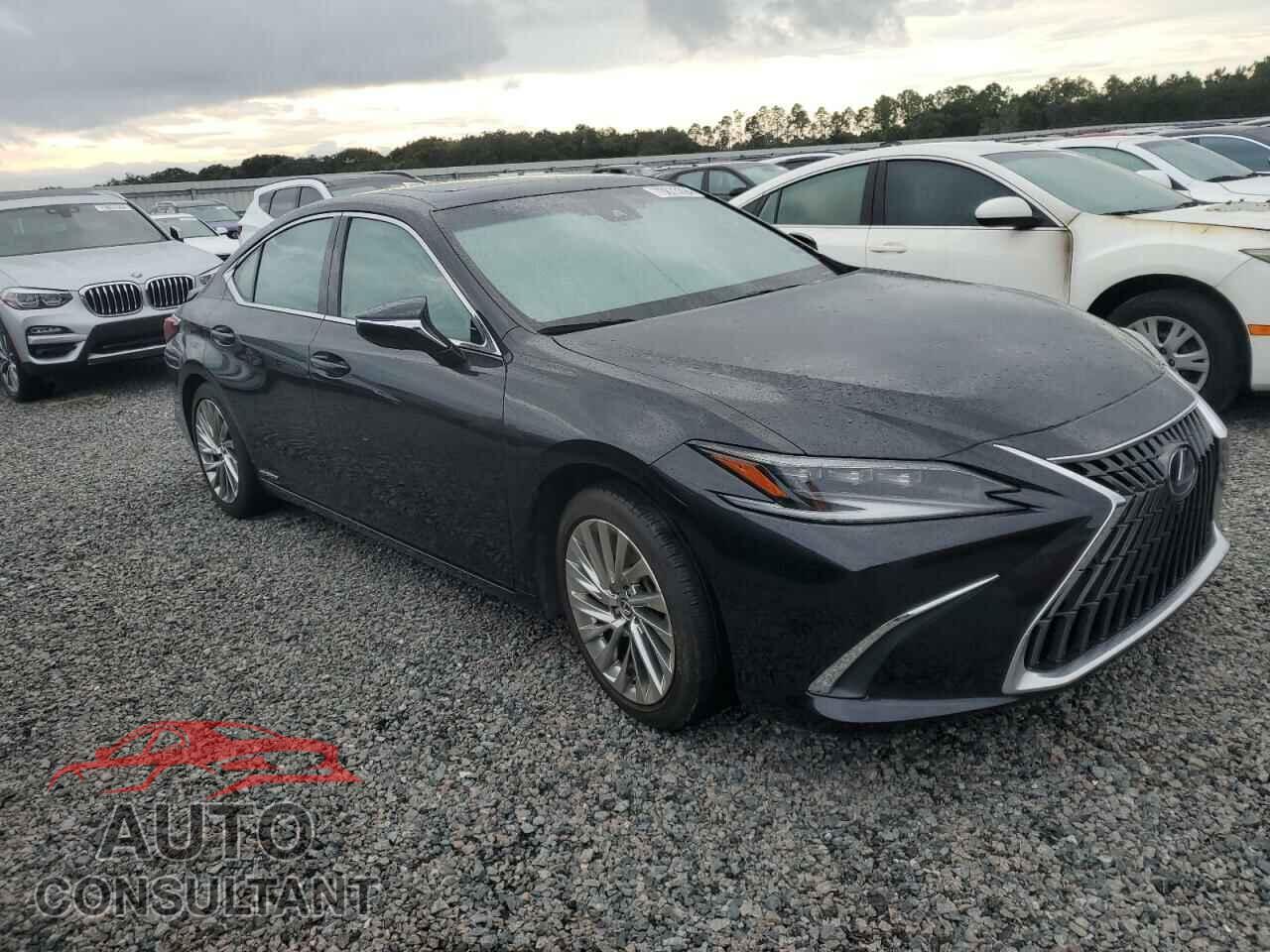 LEXUS ES300 2022 - 58AFA1C19NU014159