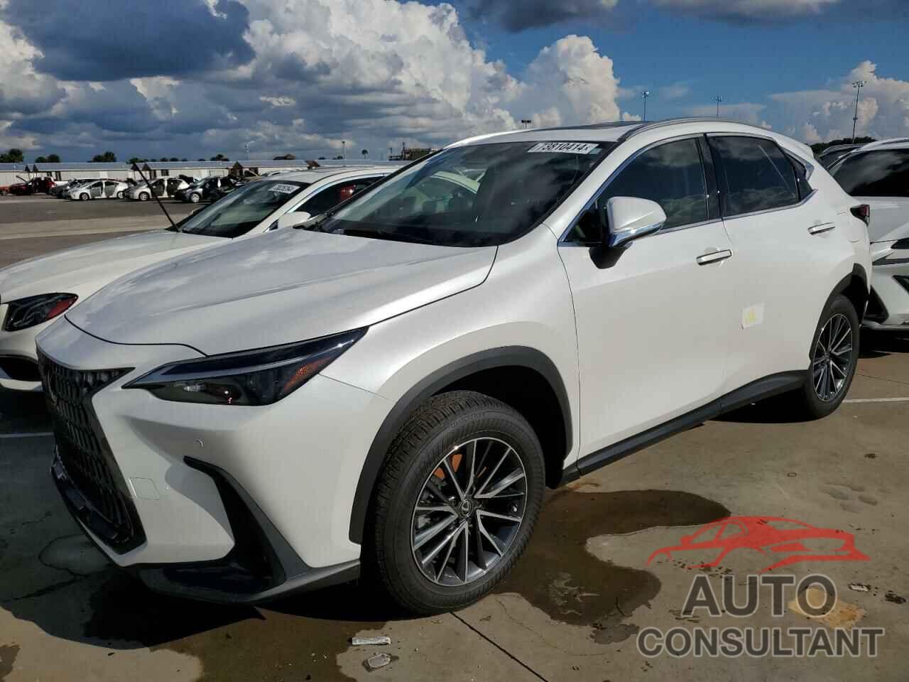 LEXUS NX 250 PRE 2024 - JTJGDCAZ6R5015553