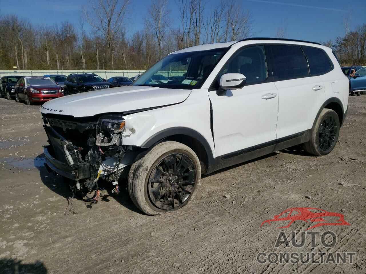 KIA TELLURIDE 2022 - 5XYP3DHC1NG234080