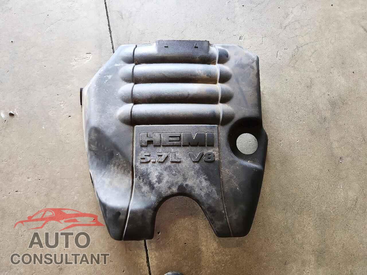 DODGE RAM 1500 2009 - 1D3HB13T89S761358