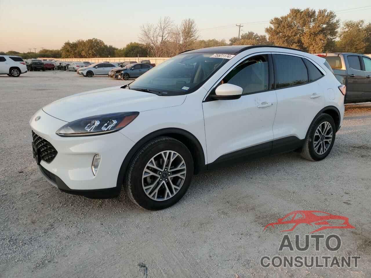 FORD ESCAPE 2022 - 1FMCU0H61NUB41682