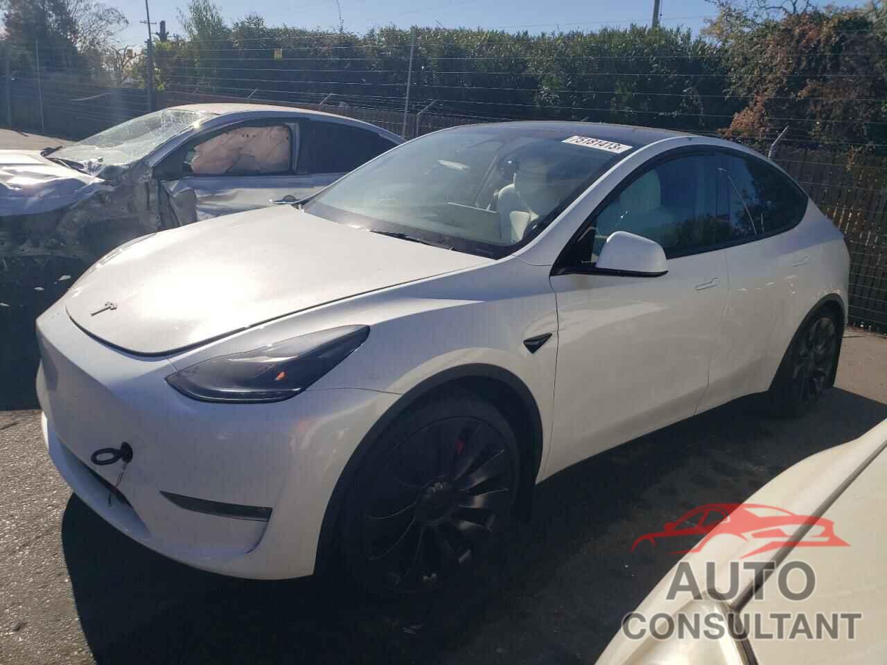 TESLA MODEL Y 2023 - 7SAYGDEF0PF754856