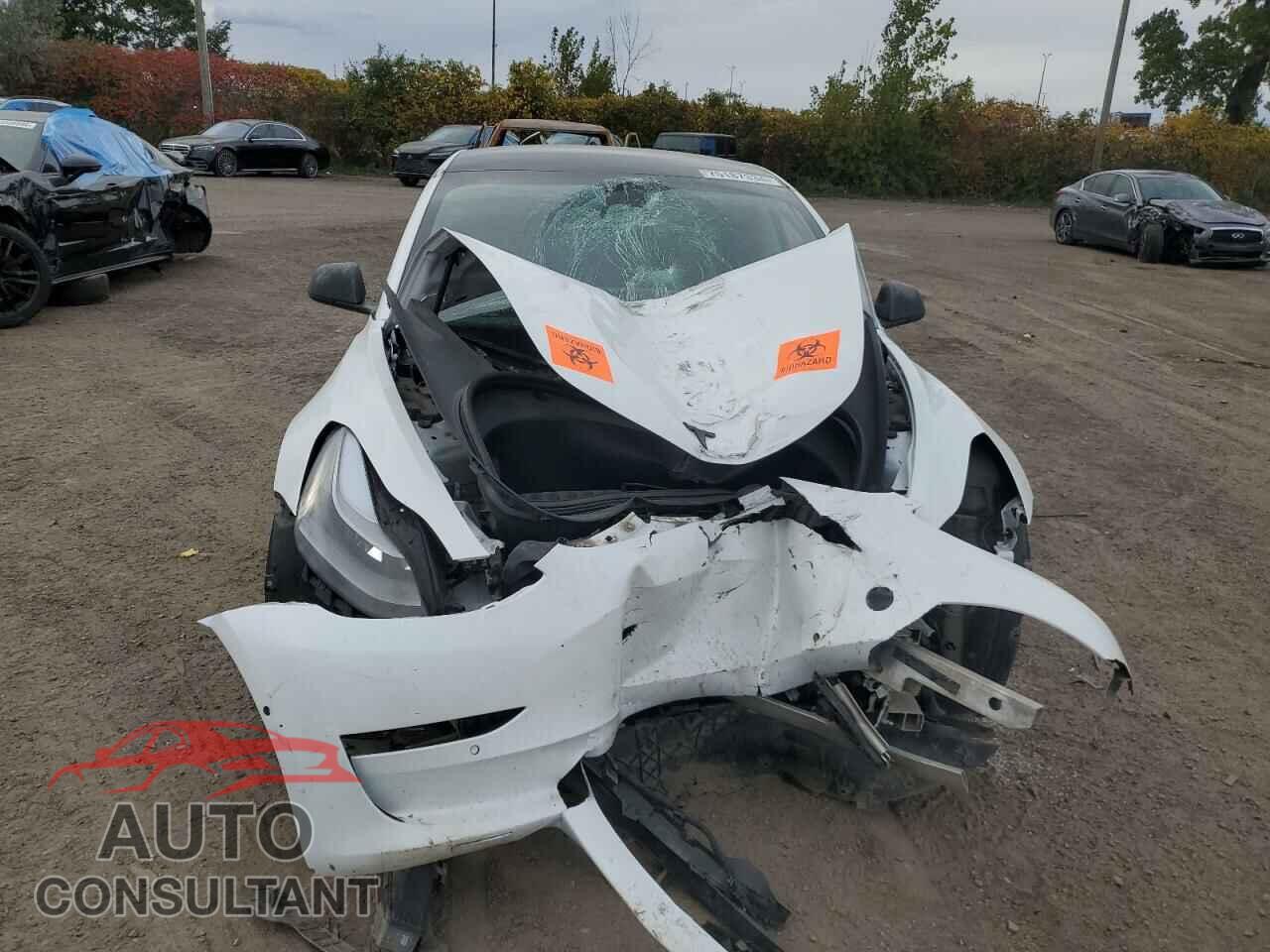 TESLA MODEL 3 2021 - 5YJ3E1EAXMF094112