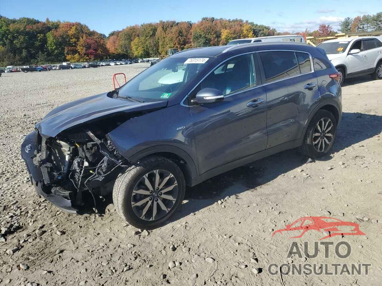 KIA SPORTAGE 2019 - KNDPNCAC9K7493827