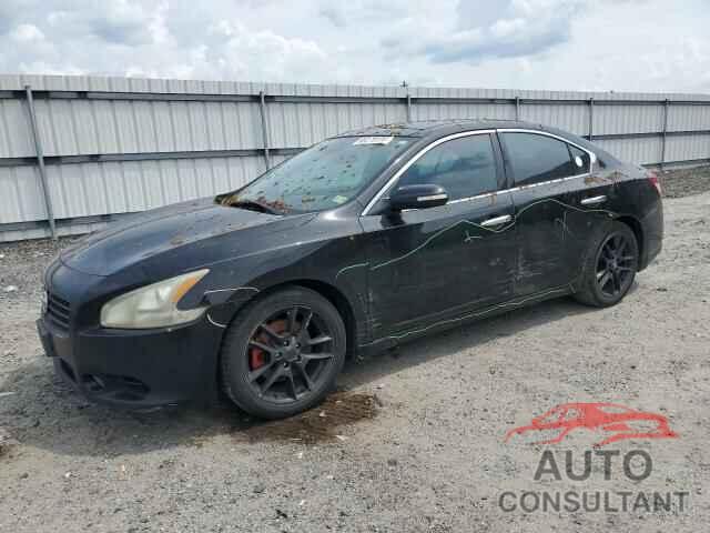 NISSAN MAXIMA 2011 - 1N4AA5AP1BC842475