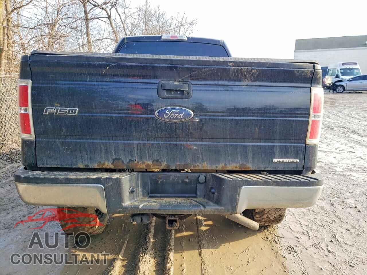 FORD F-150 2013 - 1FTFX1EF3DFD50539
