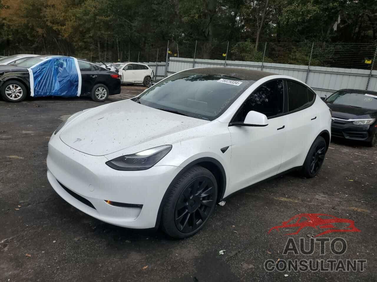 TESLA MODEL Y 2024 - 7SAYGDEE3RA261440