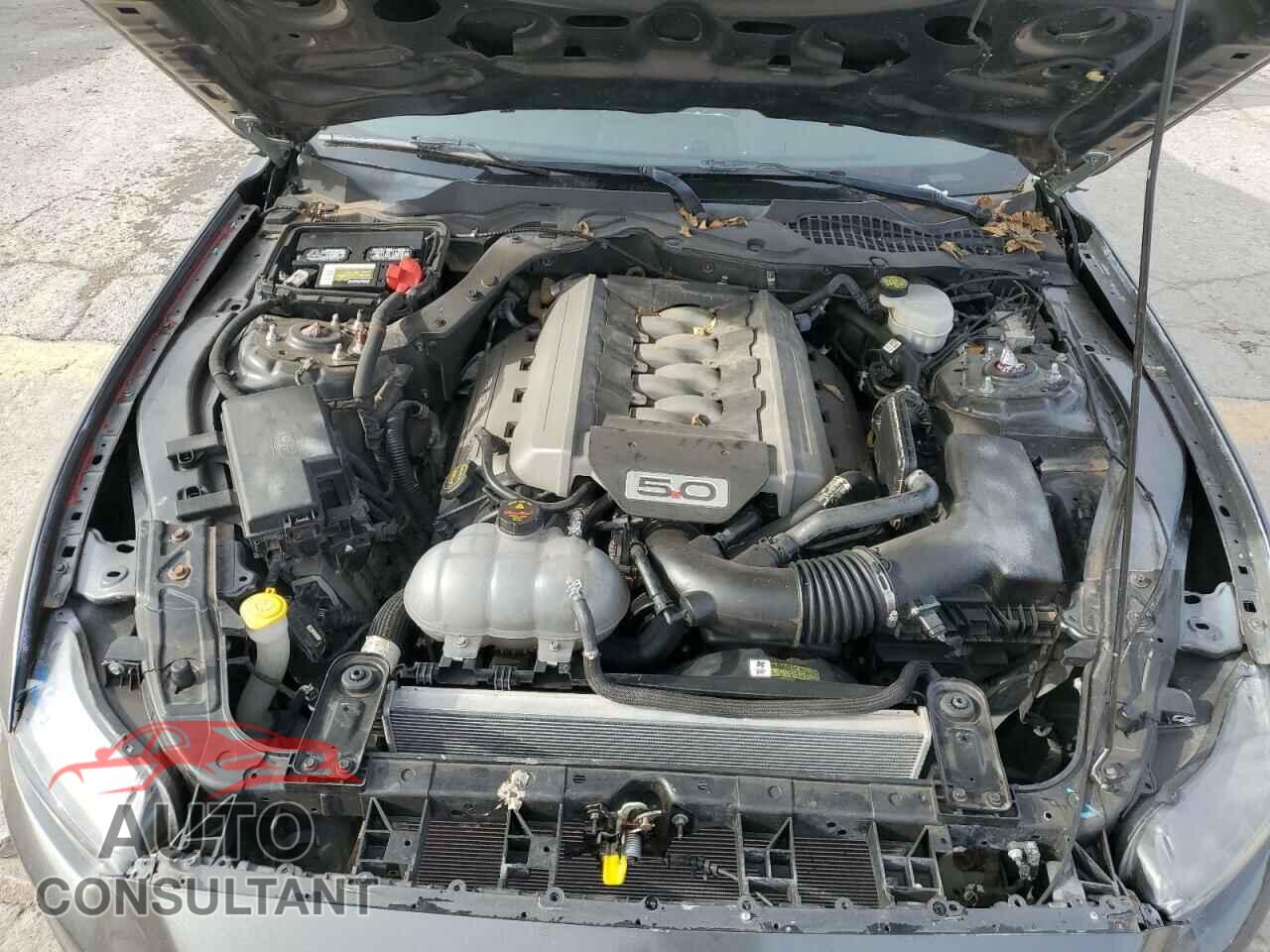FORD MUSTANG 2016 - 1FA6P8CF1G5237328