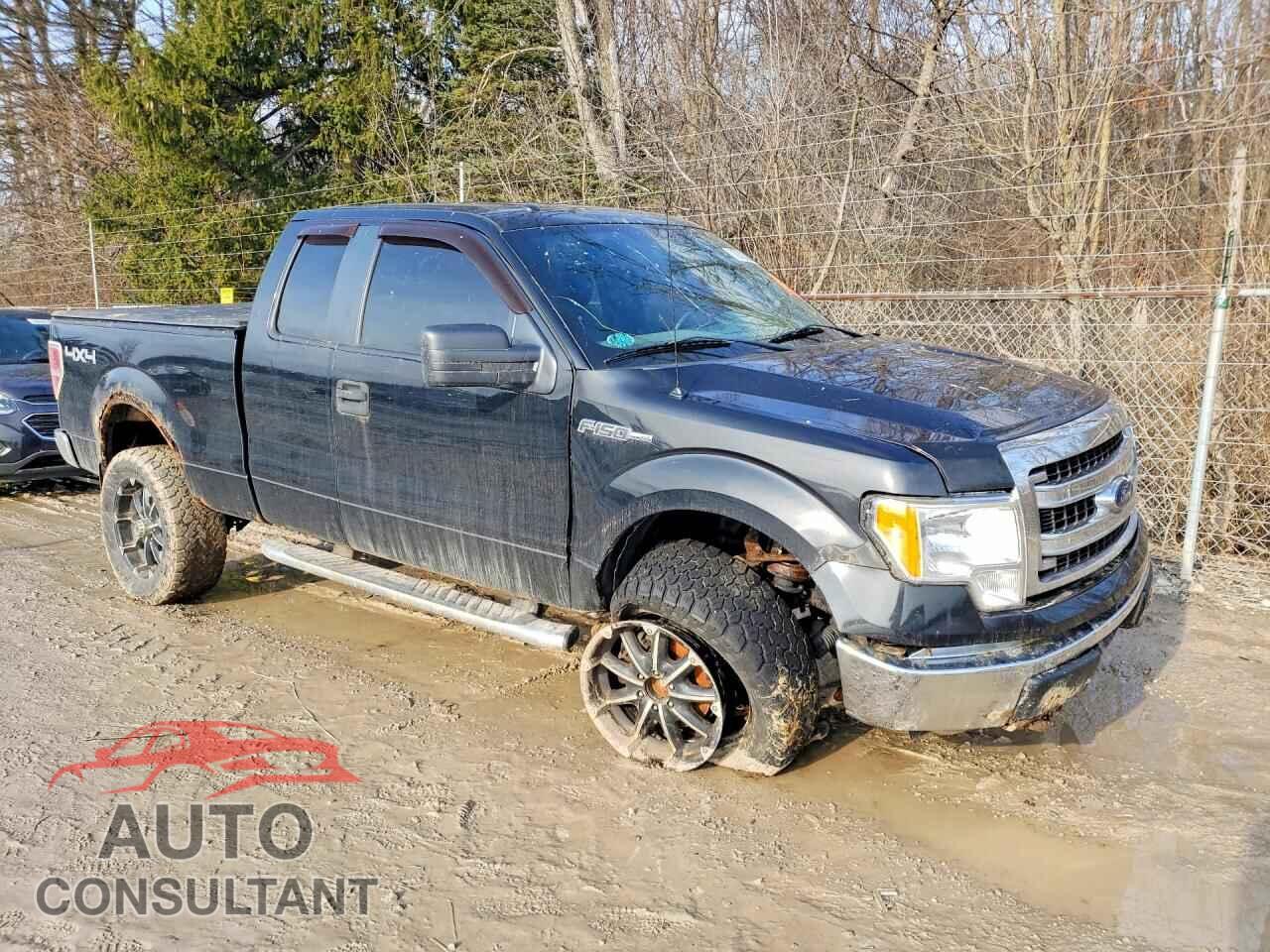 FORD F-150 2013 - 1FTFX1EF3DFD50539